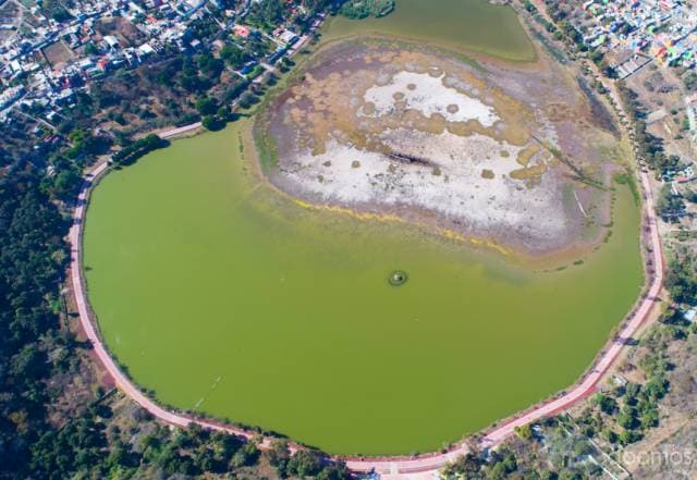 VENTA DE 45 HECTÁREAS MARAVILLOSAS EN  GTO YURIRIA  / AGUA,LUZ, PEGADAS AL PUEBLO MÁGICO - 1