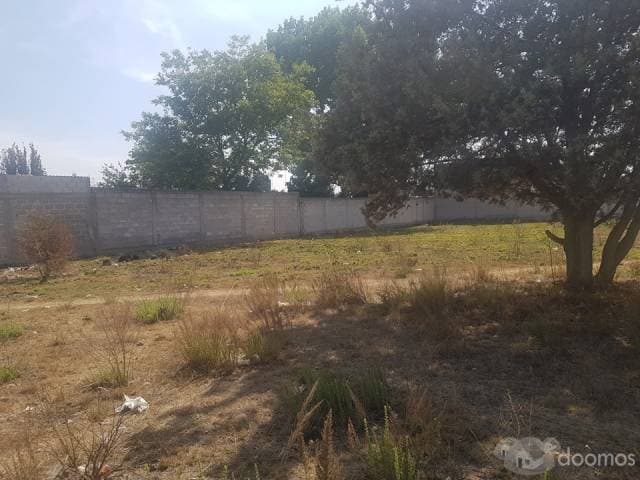 VENTA DE EXCELENTE TERRENO EN SANTIAGO TULANTEPEC - 1