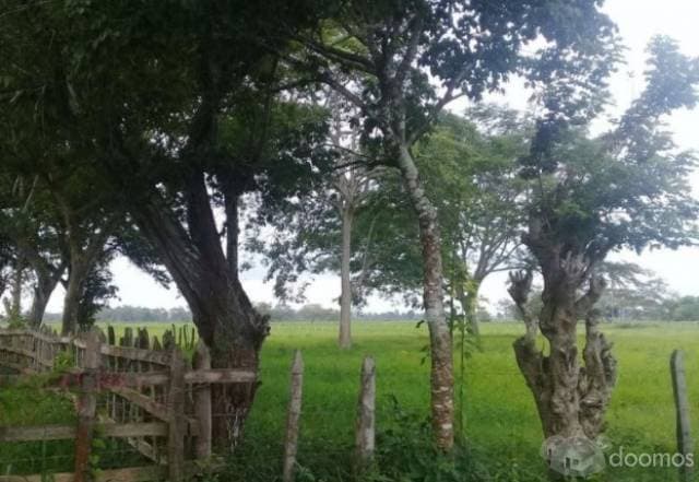 TERRENO EN VENTA EN LA CALLE ADOLFO LOPEZ MATEOS DE CHICHICAPA - 1