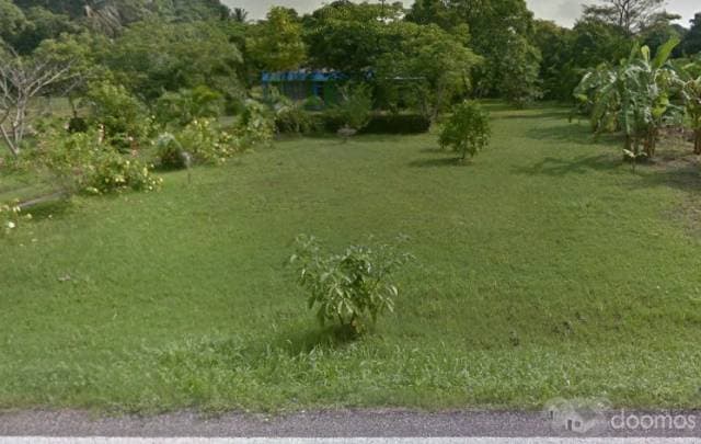 TERRENO DE 70 METROS EN CHICHICAPA - 1