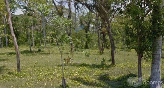 TERRENO EN EN VENTA EN LA RANCHERIA LEON ZARATE - 1