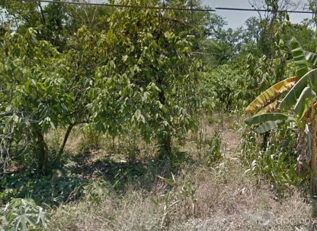 TERRENO EN VENTA EN LA LEON ZARATE - 1