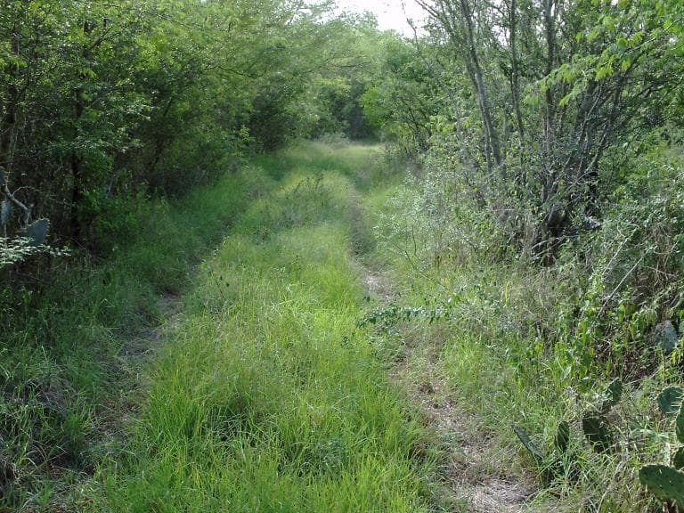Terreno con superficie de 55 has en venta - 1