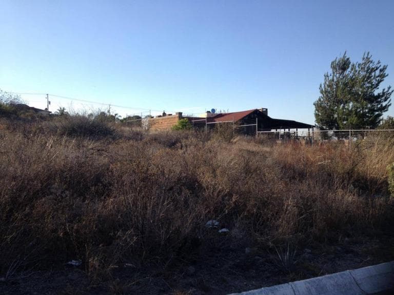 Terreno en venta 1000 m2 en lomas del sur, Santa Ana del Con - 1
