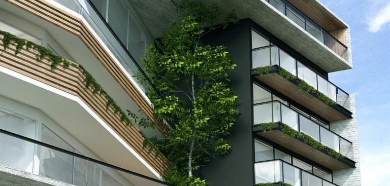 VENTA DE DEPARTAMENTO EN SAN PABLO TEPETLAPA, COYOACAN - 1