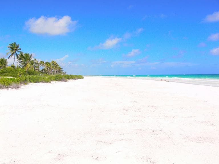 Excelente terreno frente al mar Caribe. - 1