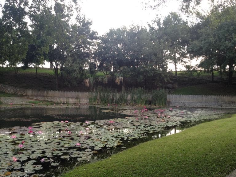 VENTA DE RANCHO Y TERRENO ZONA PRESA DE LA BOCA SANTIAGO NL - 1