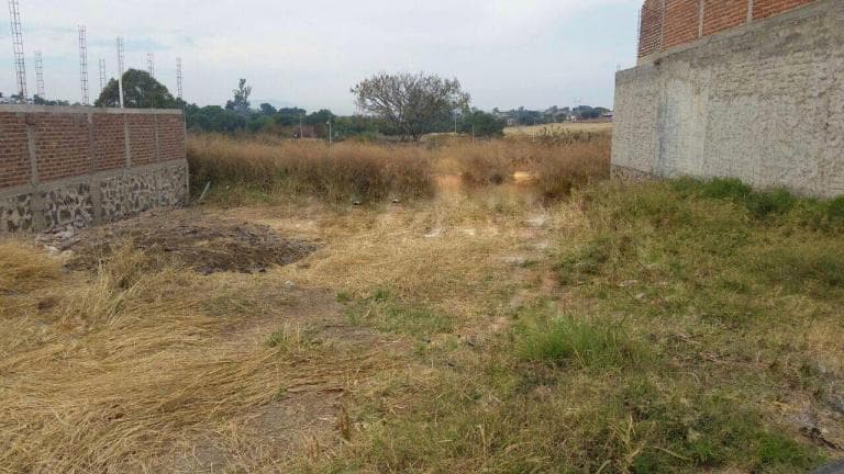 Terreno en Venta en Col. San Martín, Zapotlanejo. - 1