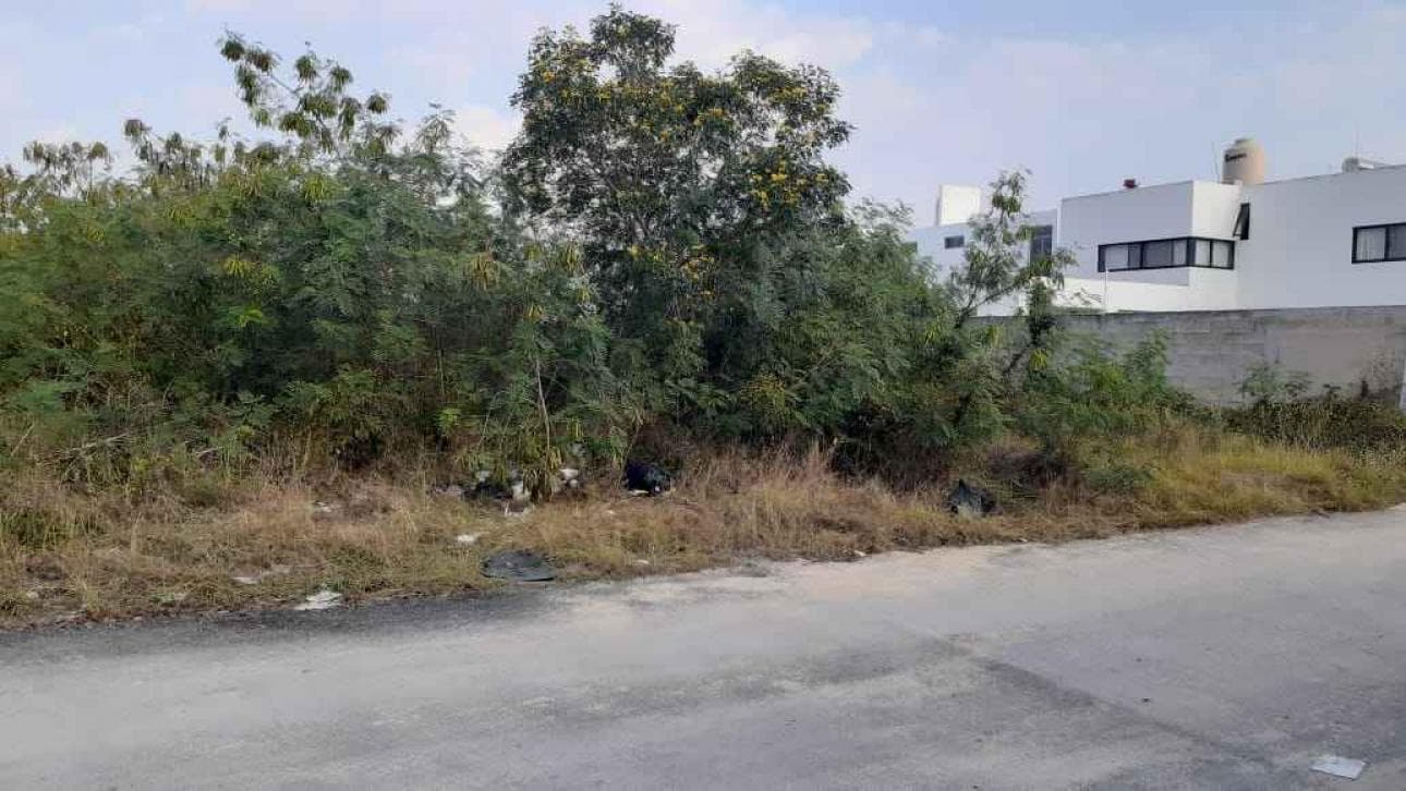 Terreno en carretera a Motul - 1