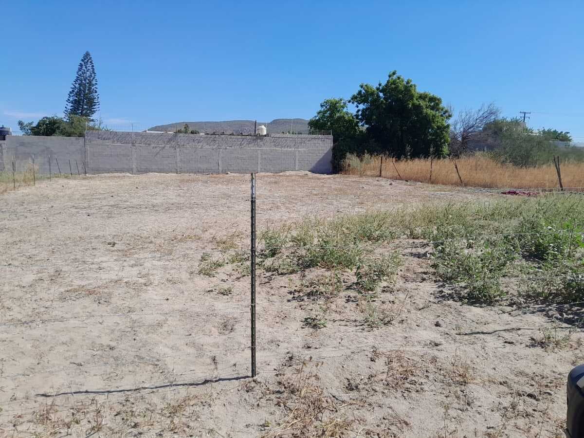 TERRENO EN RENTA EN LA PAZ,BCS, TABACHINES - 1