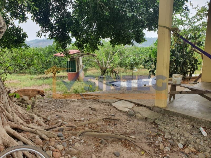 VENTA RANCHO NARANJERO GTEZ ZAMORA VERACRUZ, Coronado - 1