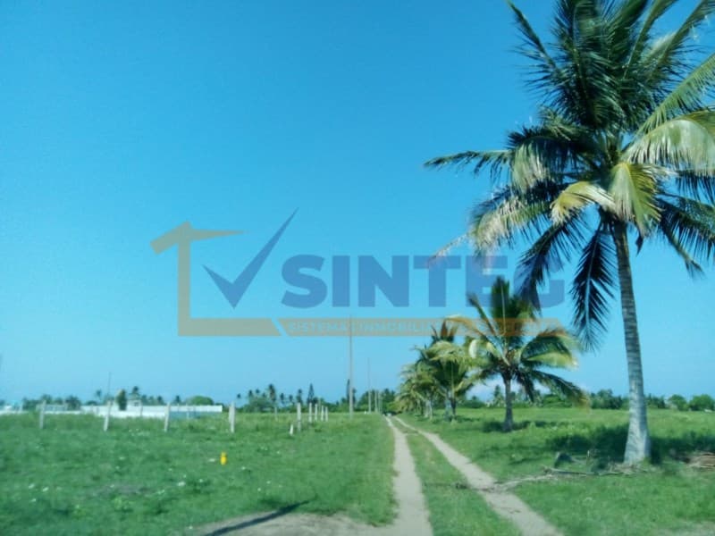 VENTA TERRENO DE 1100 MTS EN TECOLUTLA, VERACRUZ, La Guadalupe - 1