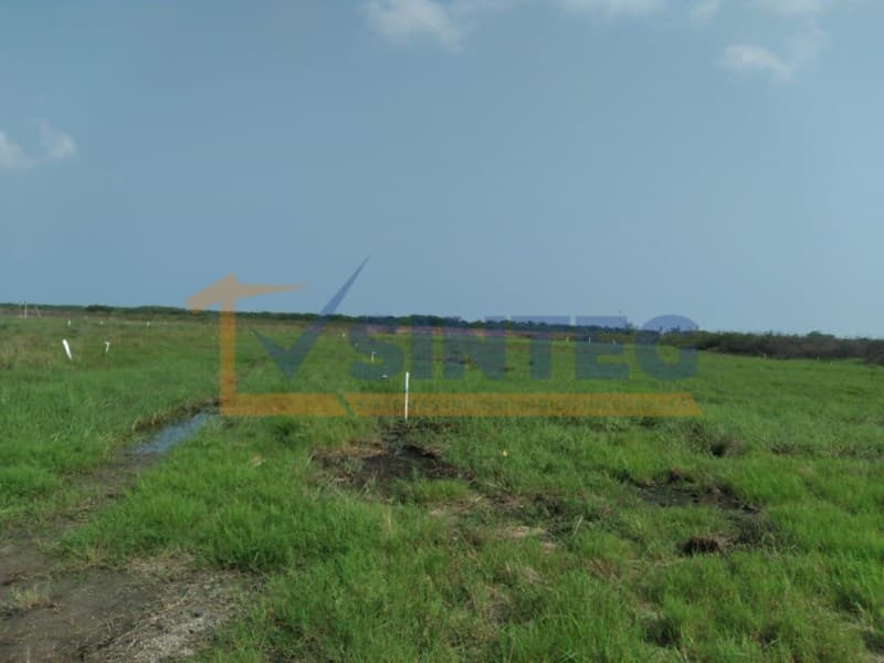 VENTA TERRENO 600 M2 TECOLUTLA, VERACRUZ, Tecolutla - 1