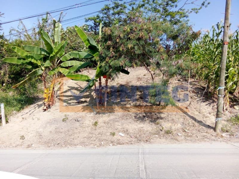 VENTA DE TERRENO 200 M2 COL. JARDINES DE COATZINTLA, Jardines de Coatzintla - 1