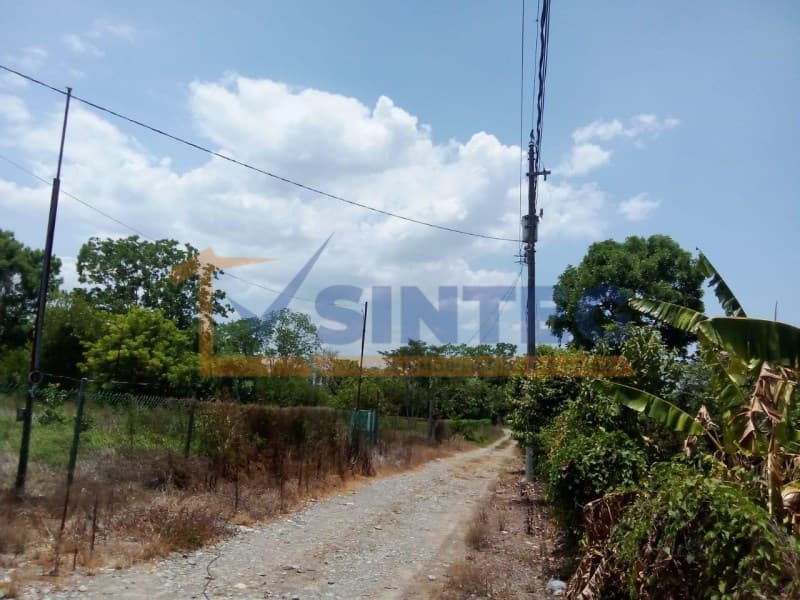 VENTA TERRENO 10,000 M2 LA VICTORIA KM 47, PAPANTLA, La Victoria Kilómetro 47 - 1