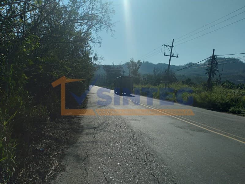 VENTA TERRENO 10,000 M2 LA VICTORIA, PAPANTLA, La Victoria Kilómetro 47 - 1