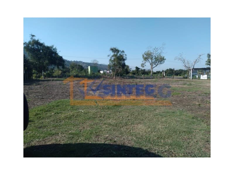 VENTA TERRENO 9,000 M2 LA VICTORIA, PAPANTLA, La Victoria Kilómetro 47 - 1