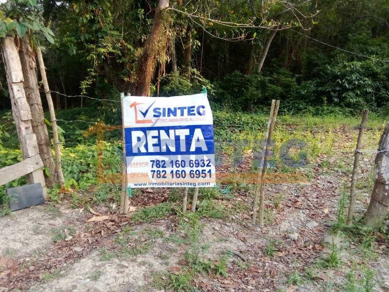 RENTA DE UNA HECTAREA EN CARR. TIHUATLAN - CASTILLO DE TEAYO, VERACRUZ, Tihuatlan Centro - 1