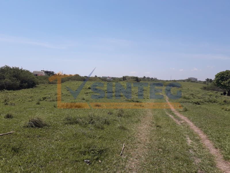 VENTA TERRENO 1000 M RANCHO PLAYA, PAPANTLA VERACRUZ, Tenixtepec - 1