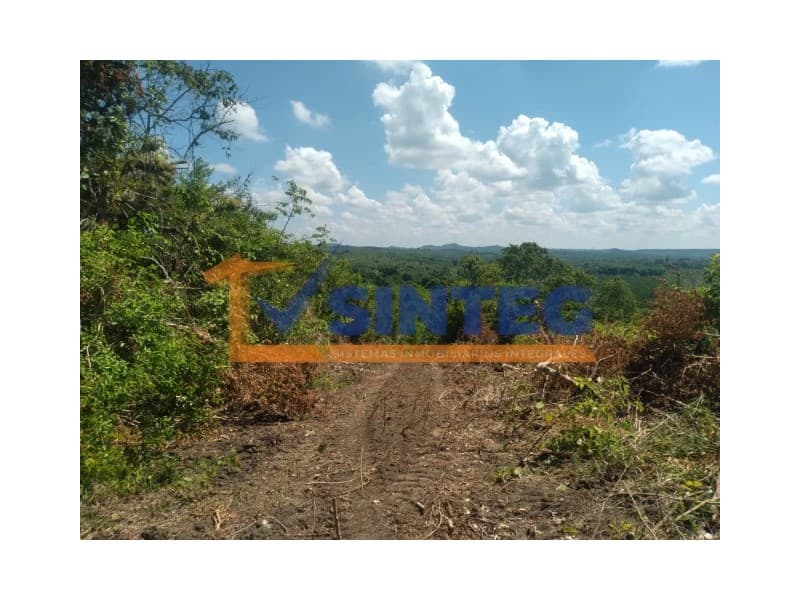 VENTA DE TERRENO 30000m2 CARRETERA POZA RICA - TIHUATLAN, Pajaritos - 1