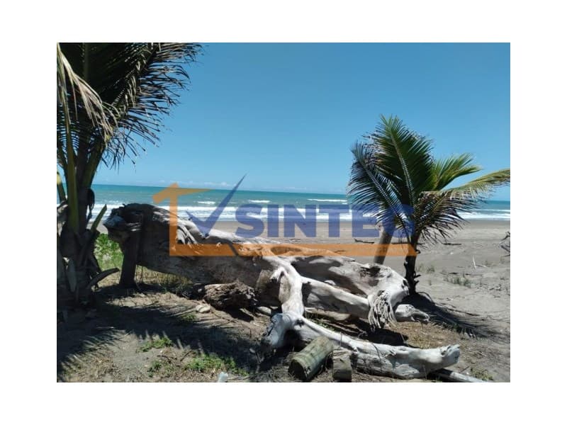 VENTA TERRENO 160000 M2 RANCHO PLAYA, PAPANTLA VERACRUZ, Tenixtepec - 1