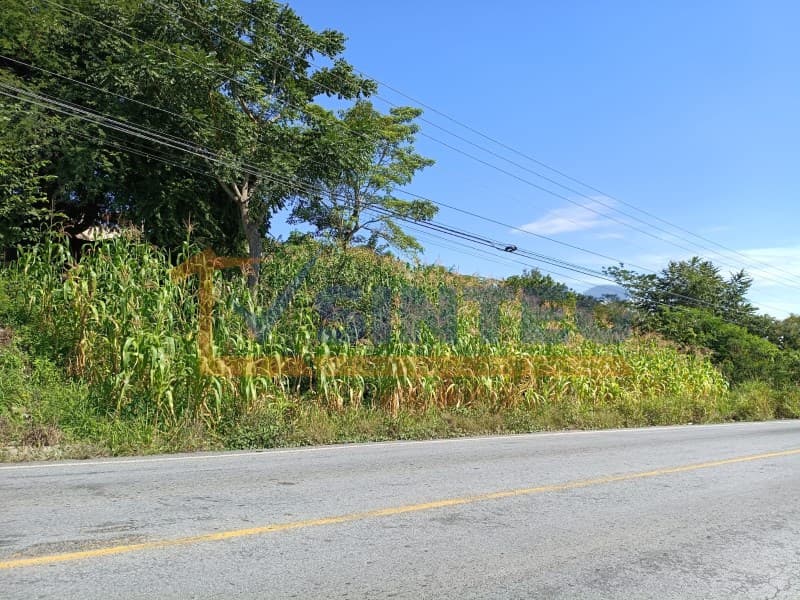 RENTA DE AMPLIO TERRENO SUPERFICIE 2,062.50 M2 CONG CHOTE COATZINTLA, Coatzintla Centro - 1