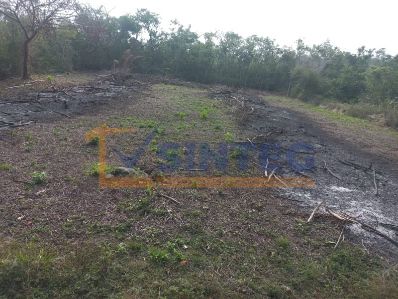 Terreno en Venta - Villas de Villamar, Col. Chile Frío, Tuxpan, Veracruz, Villamar - 1