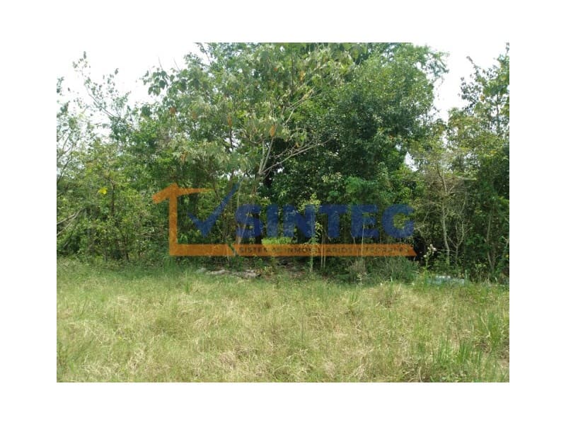 VENTA DE TERRENO 10 HECTAREAS ESCOLIN, PAPANTLA, VER., Unidad y Progreso - 1