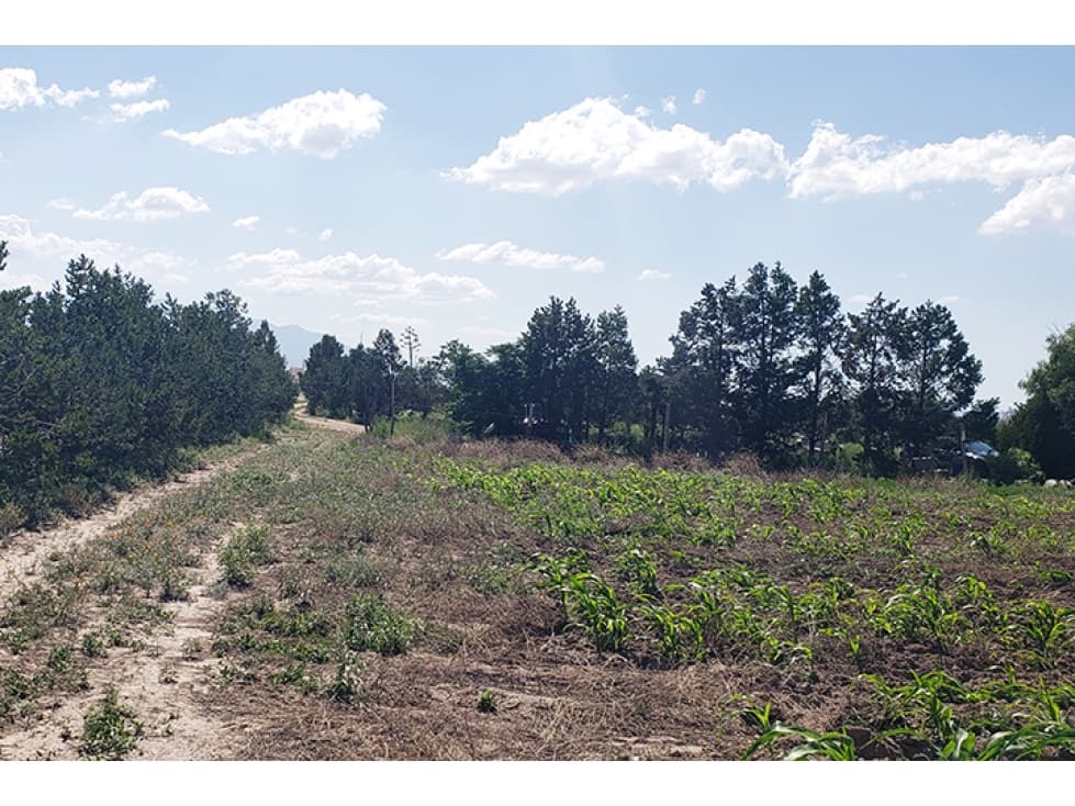 Terreno Industrial en VENTA en Agua Nueva ITV615432 - 1