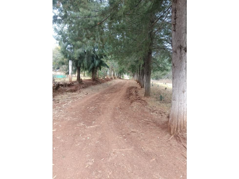 TERRENO EN VENTA EN HUASCA DE OCAMPO - 1