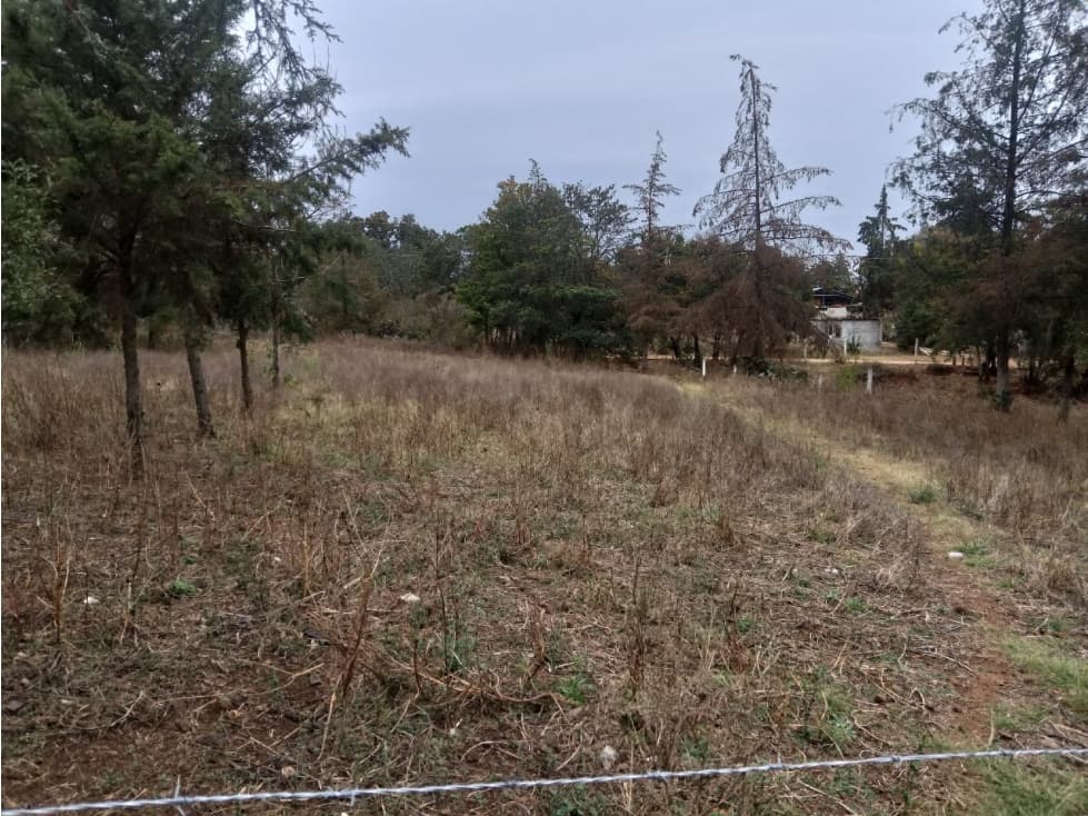 TERRENO EN VENTA EN EL PUEBLO MAGICO DE HUASCA DE OCAMPO - 1