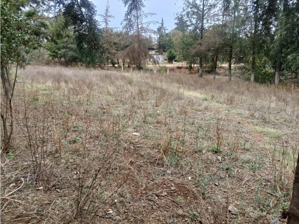 TERRENO EN VENTA EN HUASCA DE OCAMPO, HGO. - 1