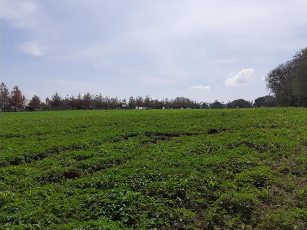Terreno en venta en Huasca a 5 min de Museo de Duende - 1