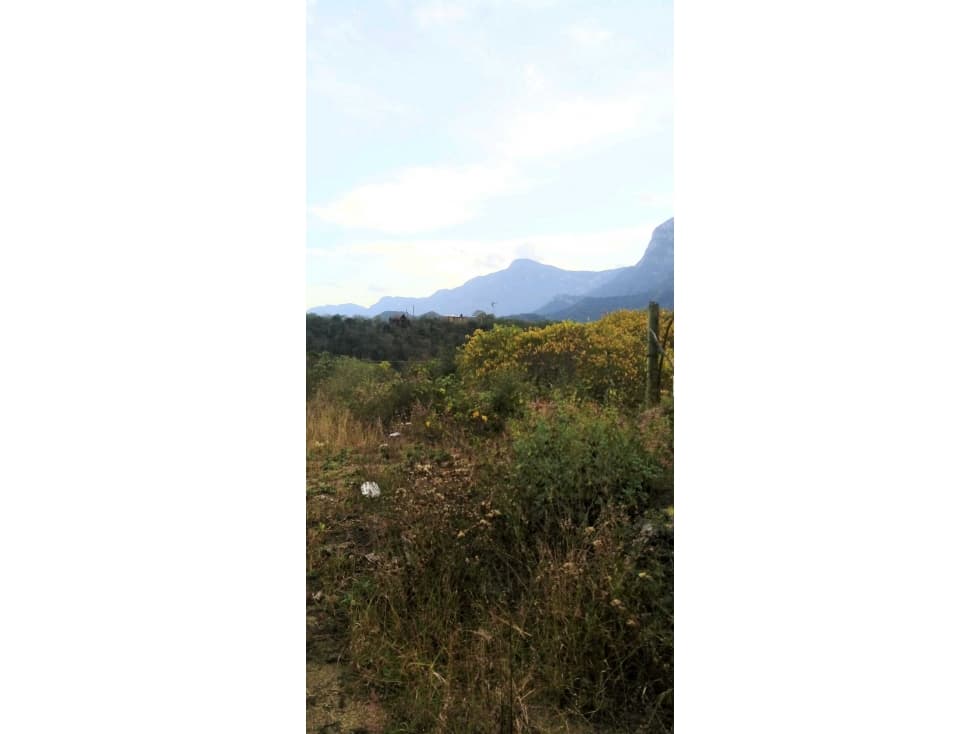 RENTA TERRENO CAMPESTRE CARRETERA NACIONAL - 1