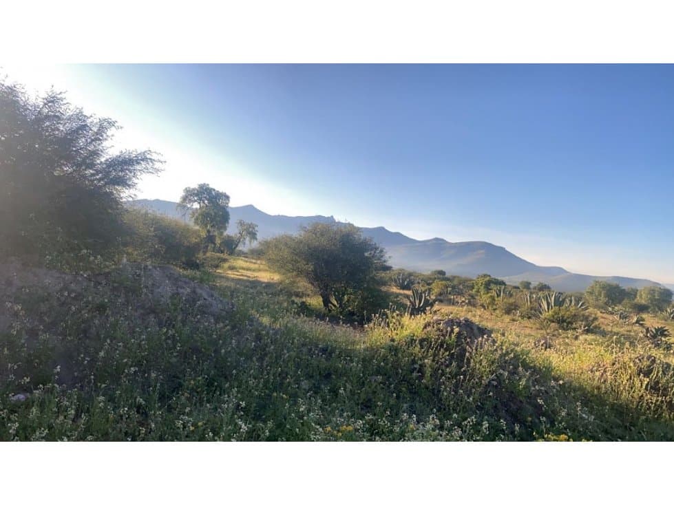 Venta de Terreno Rústico sobre carretera en Actopan Hgo, 37,367 m² - 1