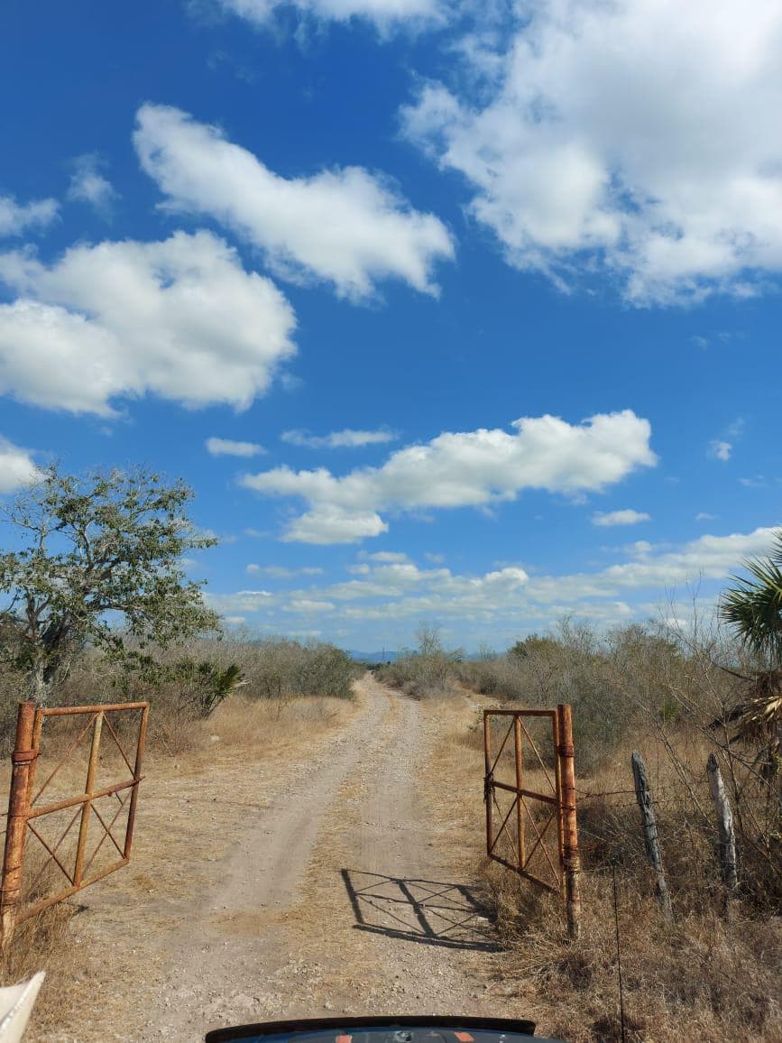 Rancho en Venta en Gonzalez - 1