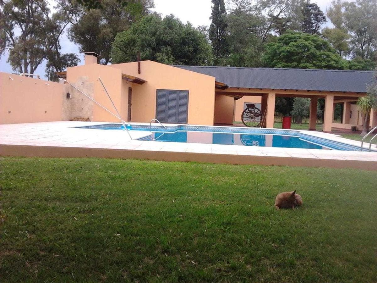 Campo en venta - 6 dormitorios 2 baños - frigorifico - 20 hectareas- Navarro - 1