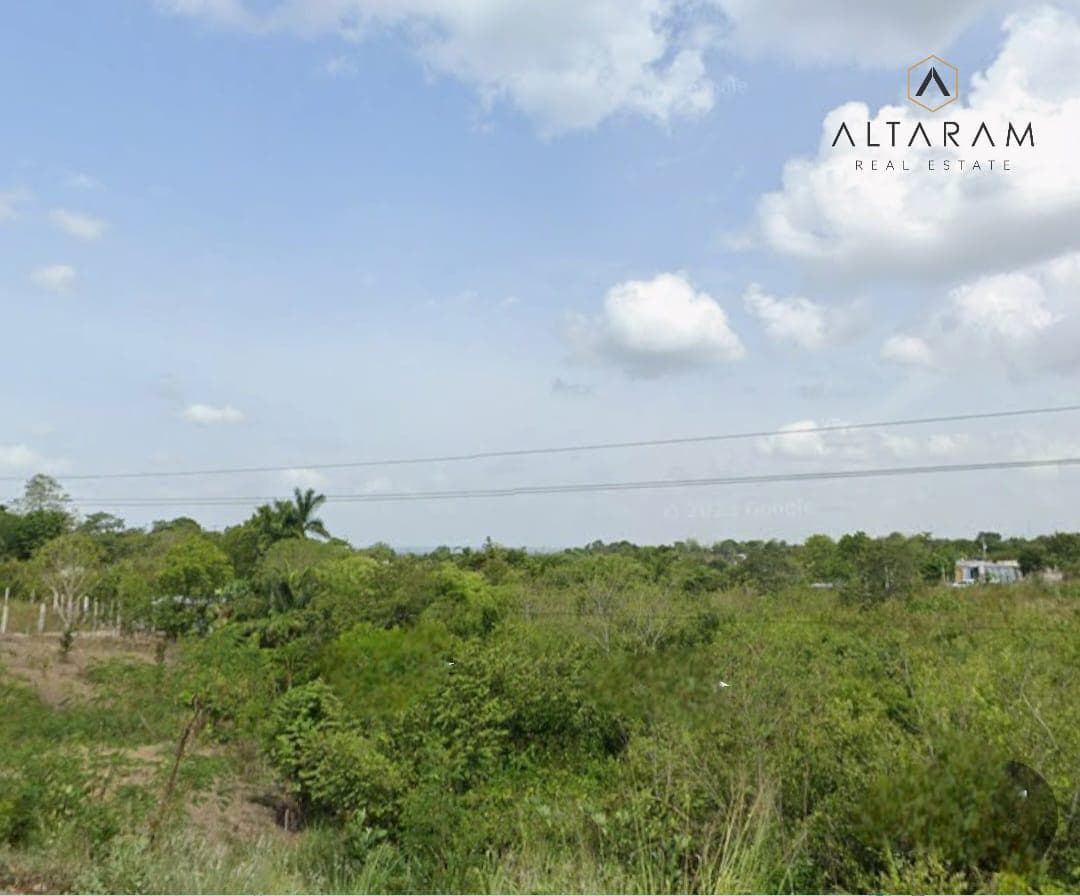 TERRENO EN VENTA COL. TERESA MORALES, TEMPOAL VERACRUZ. - 1