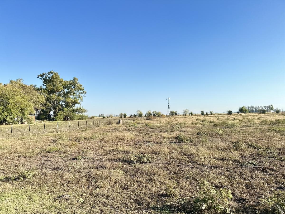 Campo en Lobos - 1