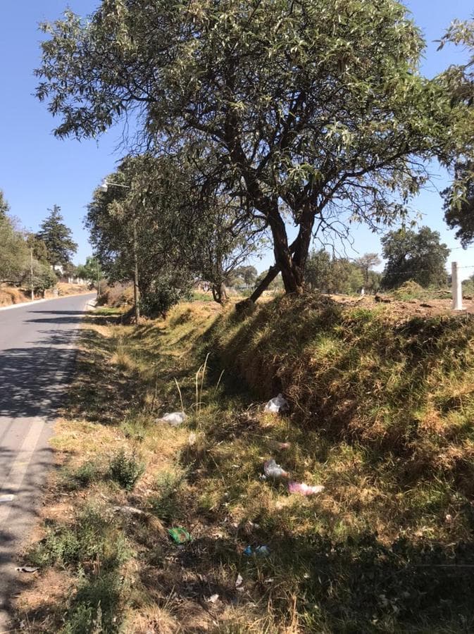 Terreno - San Dionisio Yauhquemehcan, Tlaxcala - 1