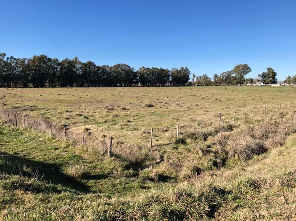 Campo en venta - 11.900mts2 - 147x81 - General Alvear - 1