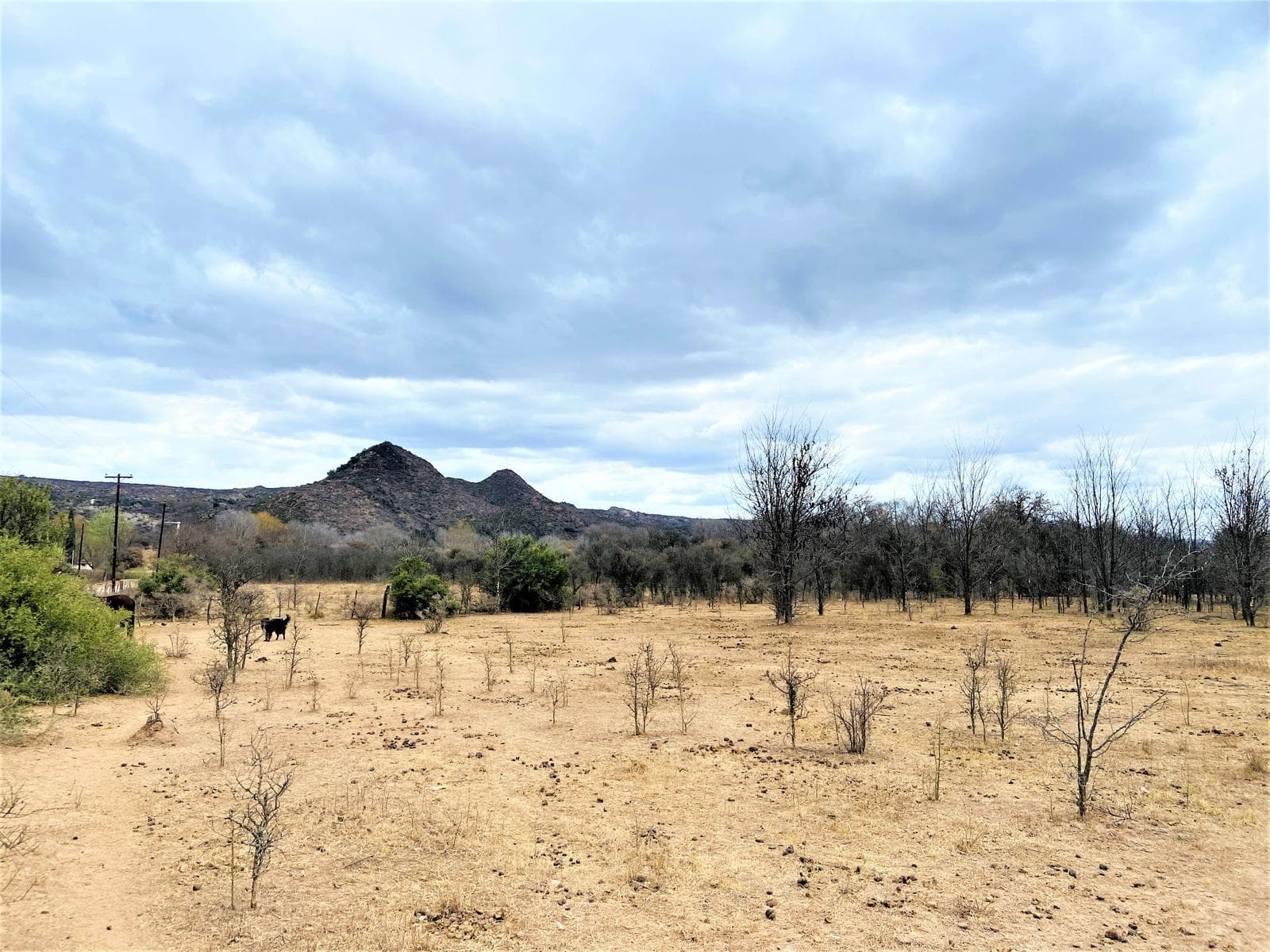 NONO - LOTE 7.500M2 A 100M DEL RIO - REC MENOR - 1