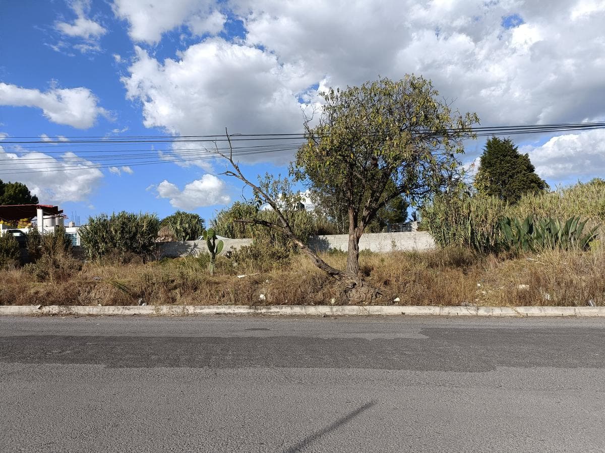 Terreno - Pueblo Santa Úrsula Zimatepec - 1