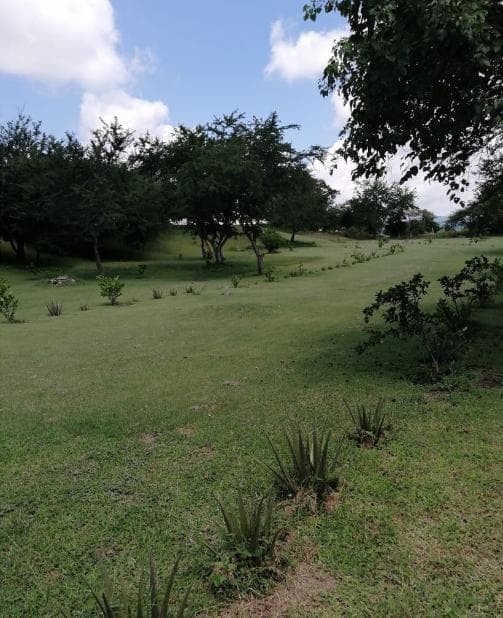 RANCHO EN VENTA EN XOXOCOTLA - 1