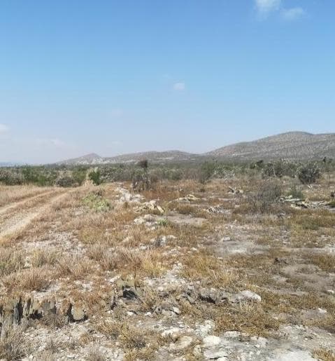 Terreno - Mina - 1