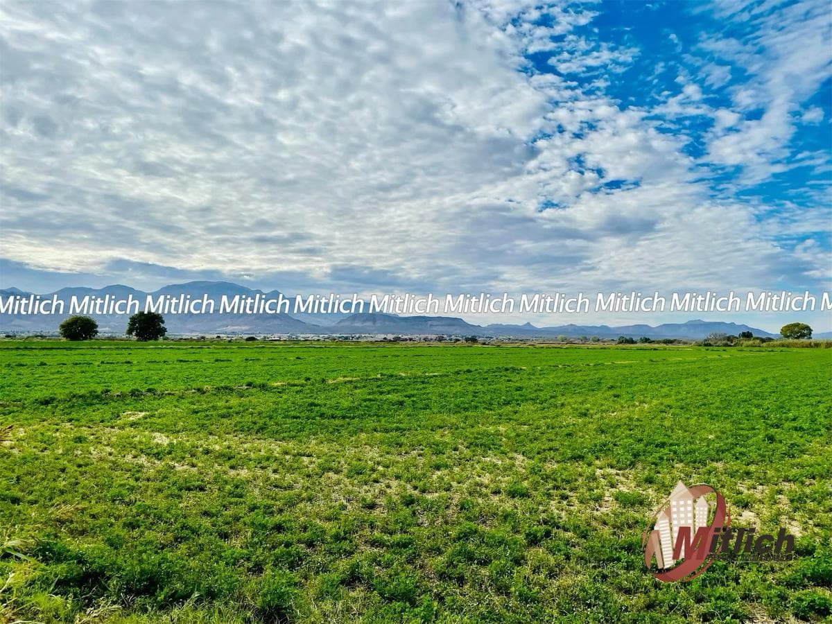 RANCHO DE 20 HAS AGRÍCOLA EN VENTA $14,000,000.00 - 1
