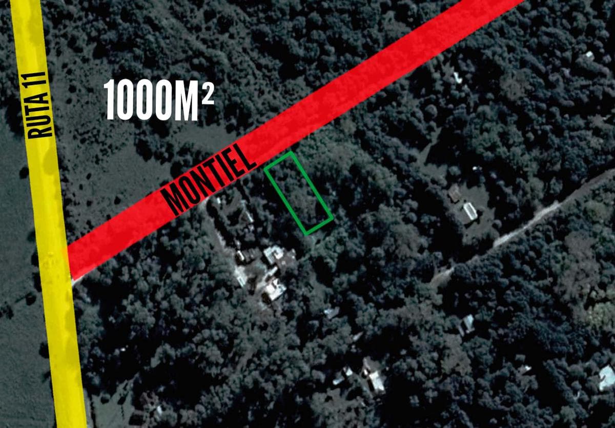 Terreno en venta - 1000Mts2 - Punta Indio - 1