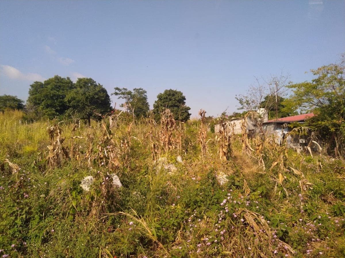 Terreno en Venta en El Nanchal, Villa Real - 1