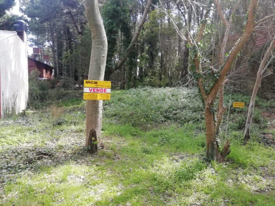 Terreno - Costa Del Este - 1