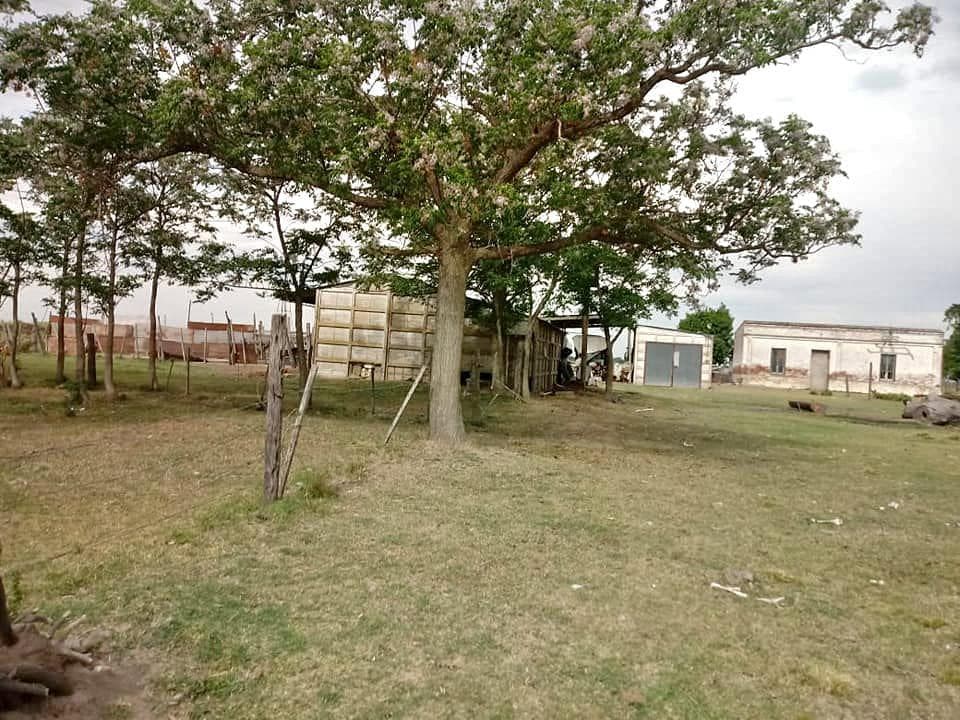 Campo en Colonia La Nueva - 1